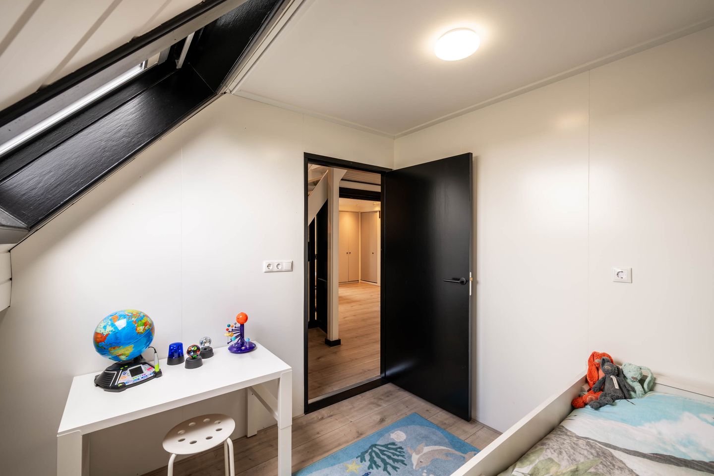 Foto 25 van Zaaiviool 11