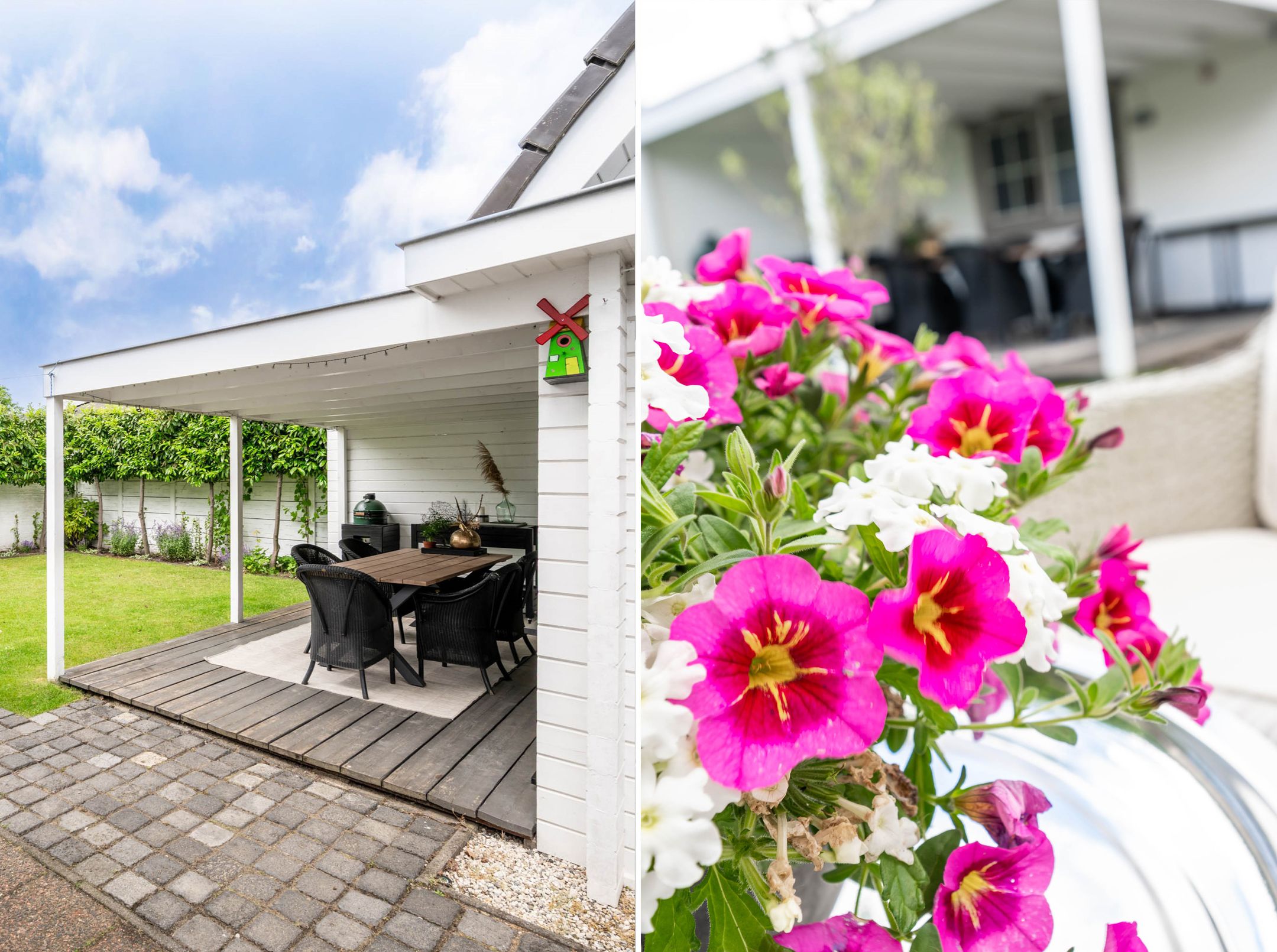 Foto 33 van Zaaiviool 11