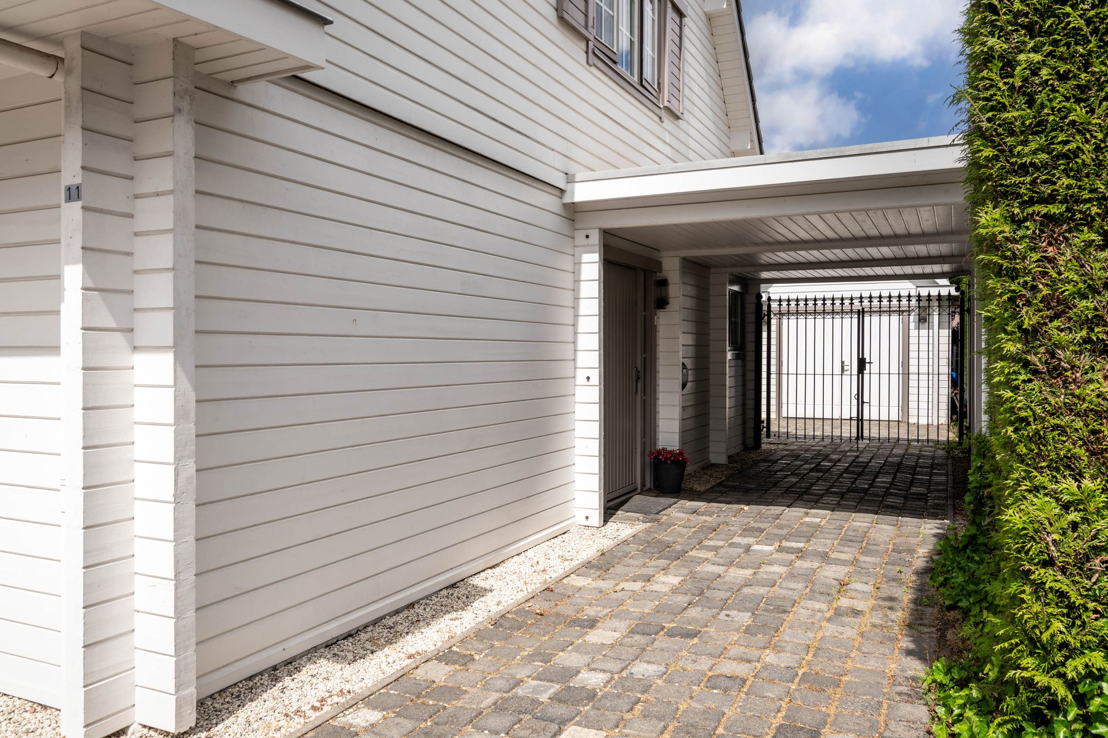 Foto 36 van Zaaiviool 11