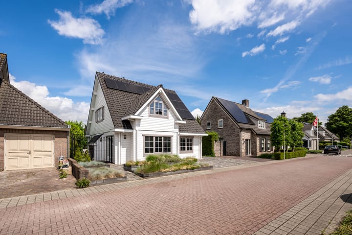 Photo 37 of Zaaiviool 11