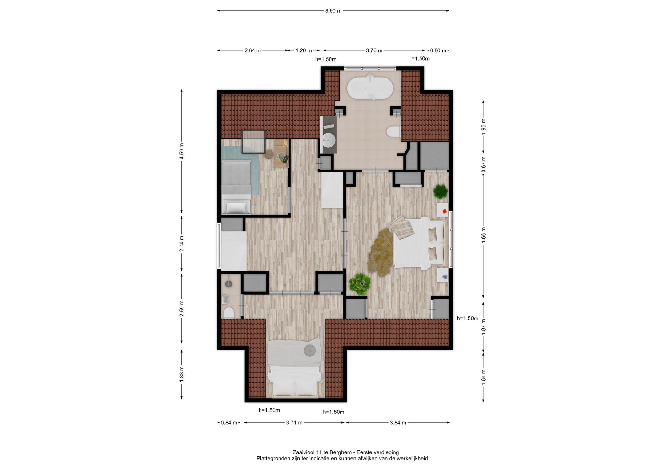 Foto 39 van Zaaiviool 11