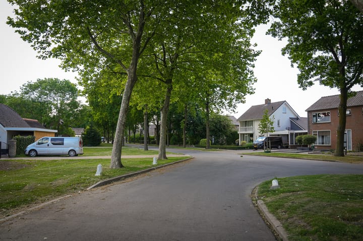 Foto 47 van Middendam 10