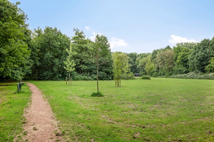 Foto 26 van Mulder 5