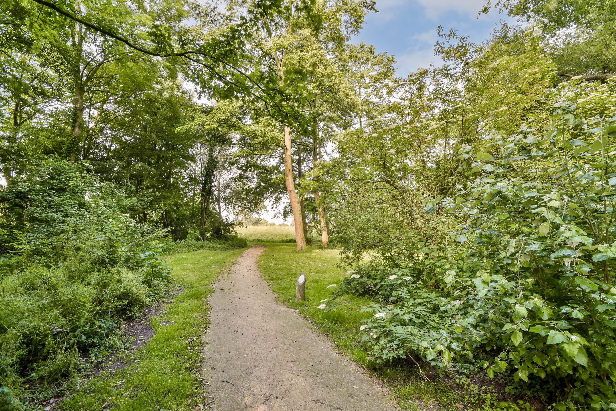 Foto 18 van Burgemeester D. Kooimanweg 515