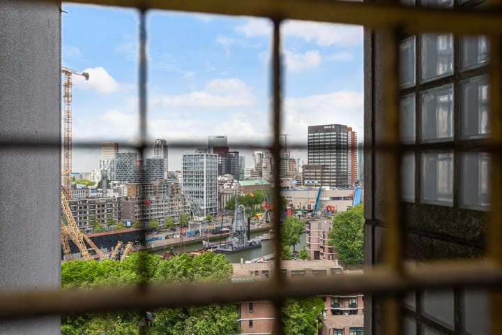 Foto 31 van Boompjes 473