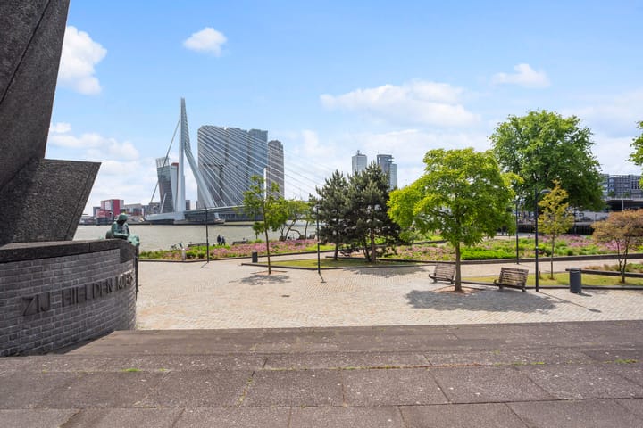 Foto 35 van Boompjes 473