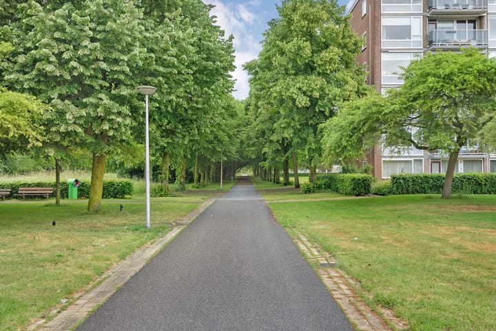 Foto 36 van Porporastraat 142