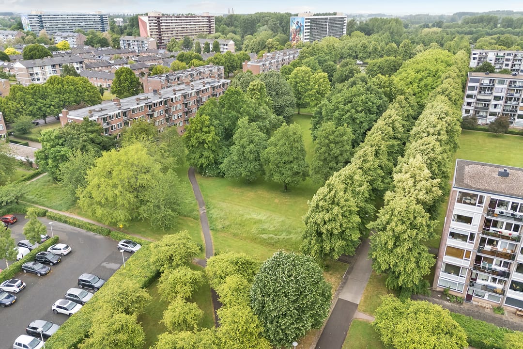 Foto 41 van Porporastraat 142