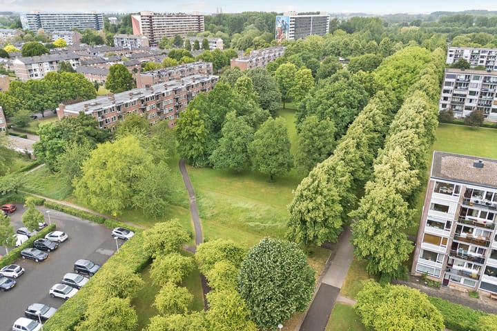 Foto 41 van Porporastraat 142