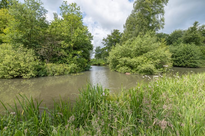 Foto 5 van Hommelmeent 178