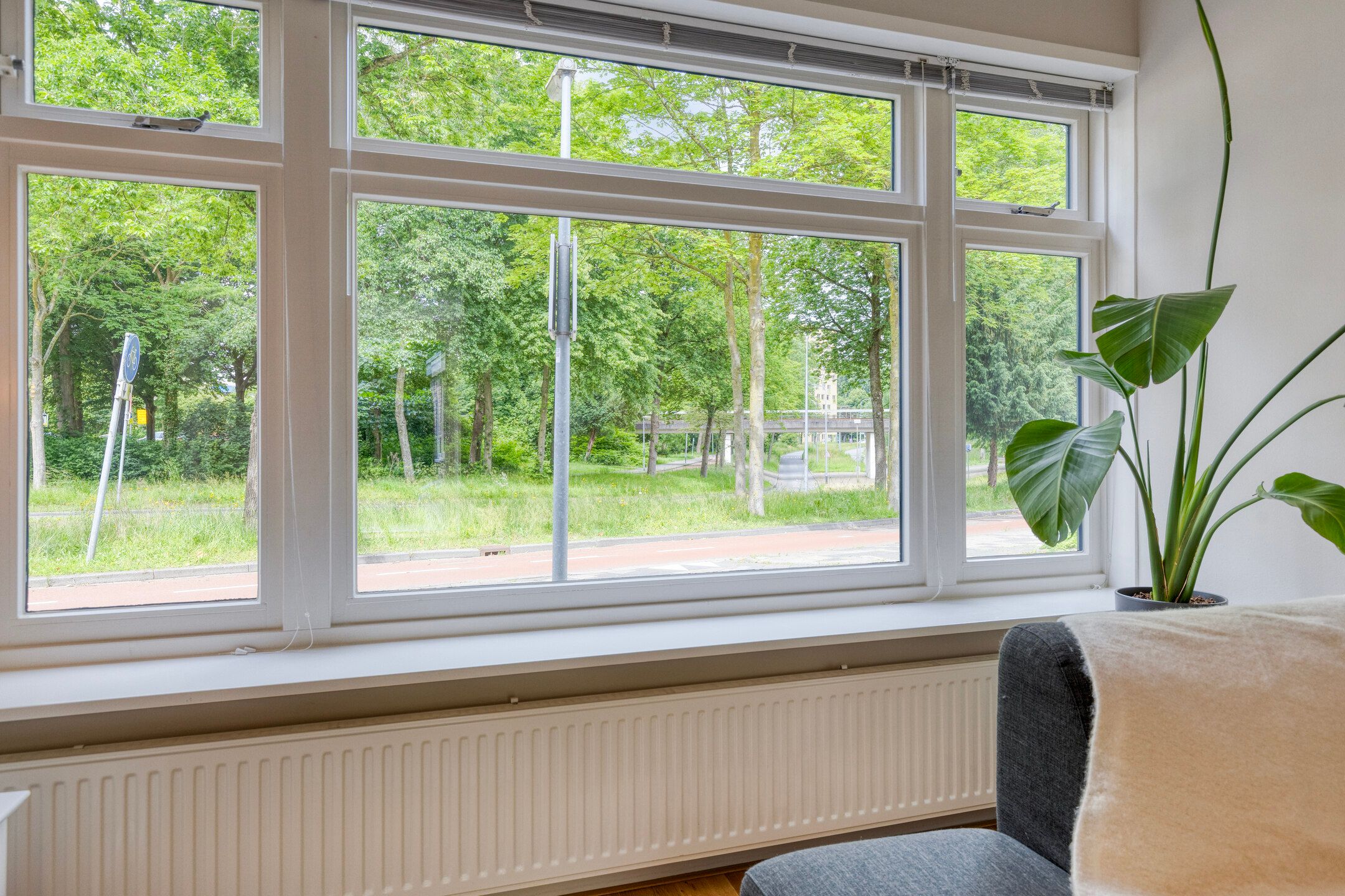 Foto 6 van Prinsesseweg 81