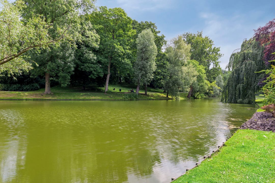 Foto 28 van Prinsesseweg 81