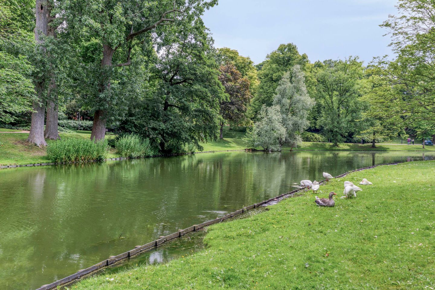 Foto 29 van Prinsesseweg 81