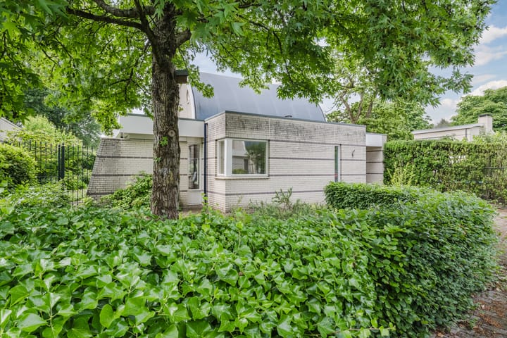 Foto 4 van Verlengde Witmoeren 2