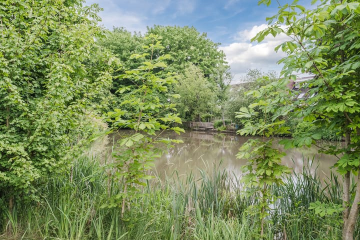 Foto 36 van Verlengde Witmoeren 2