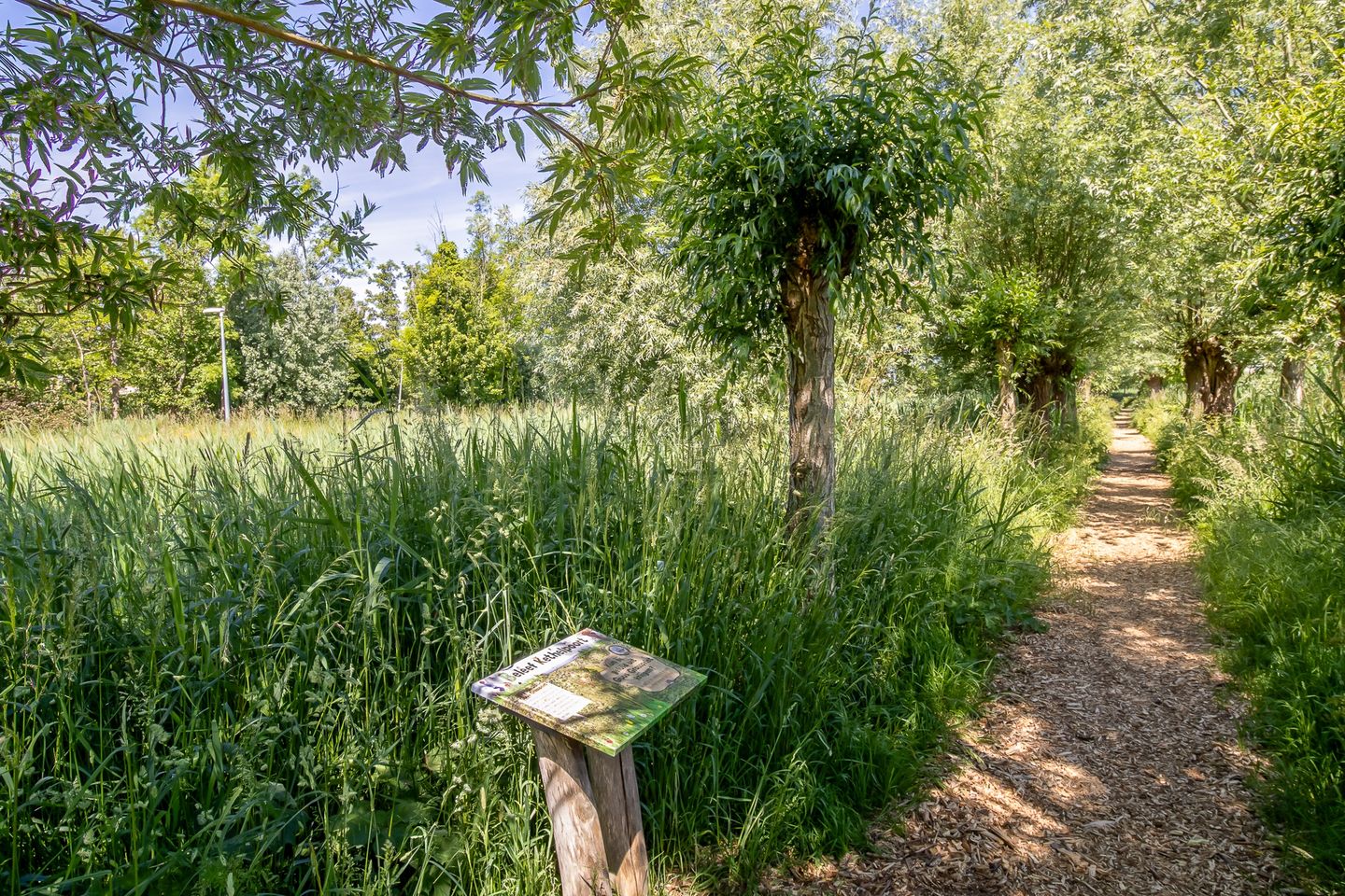 Foto 35 van De Velden 12