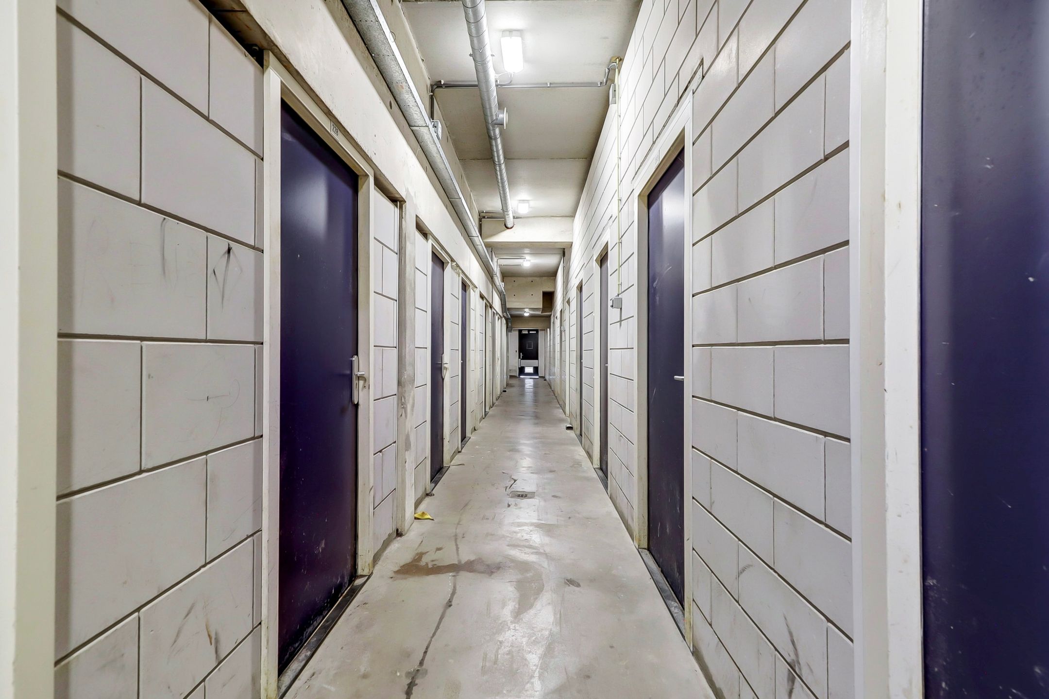 Photo 30 of Steijnlaan 232