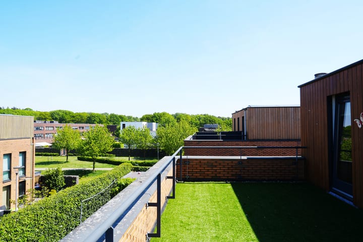 Foto 46 van Wittemstraat 24