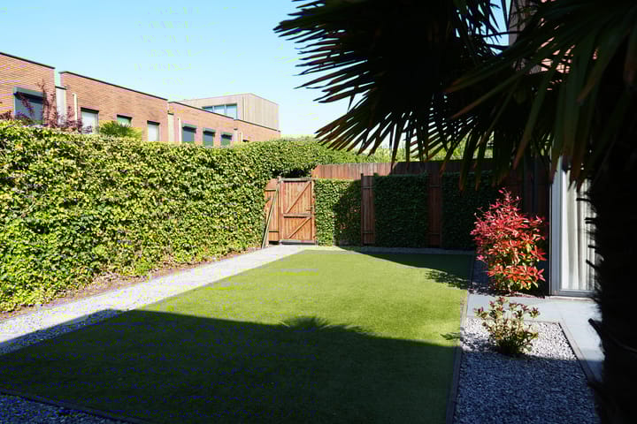 Foto 50 van Wittemstraat 24