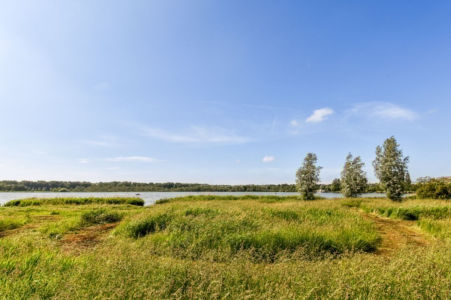 Foto 25 van Henriëtte Bosmanslaan 17