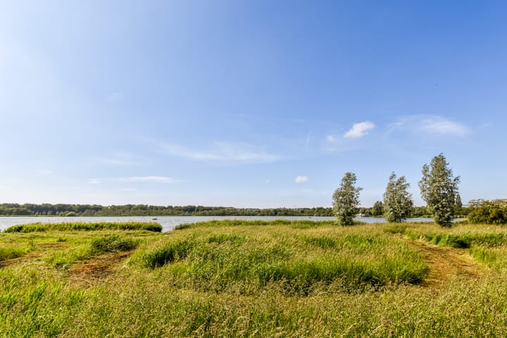 Foto 25 van Henriëtte Bosmanslaan 17