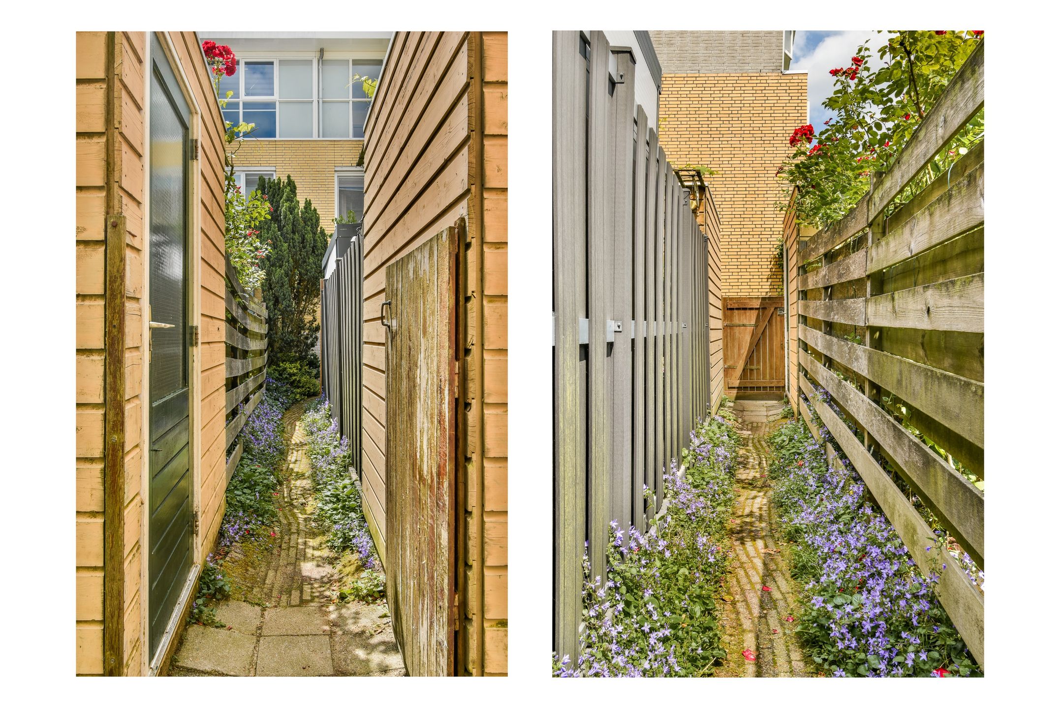 Foto 15 van Maaseikstraat 16