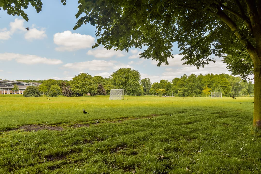 Foto 32 van Maaseikstraat 16