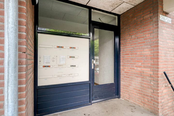 Foto 7 van Middellaan 256