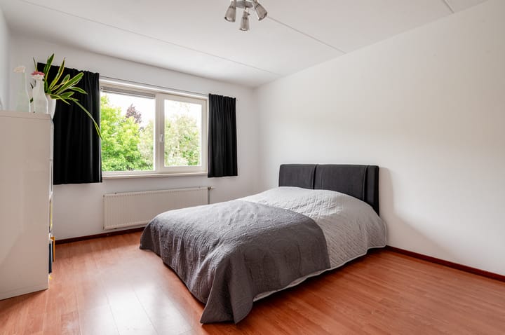 Foto 34 van Marquette 10