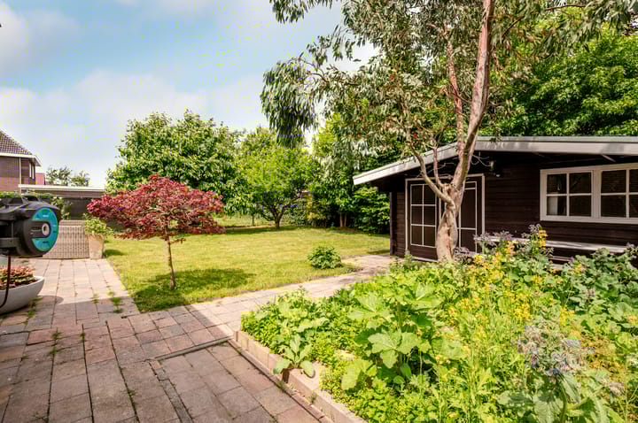 Foto 47 van Marquette 10