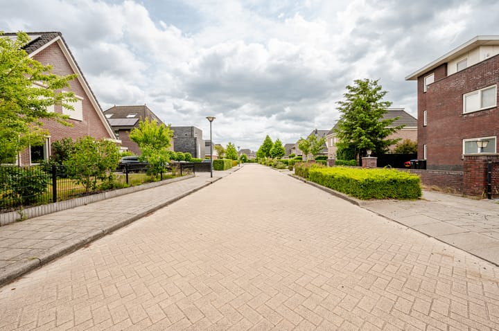 Foto 55 van Marquette 10