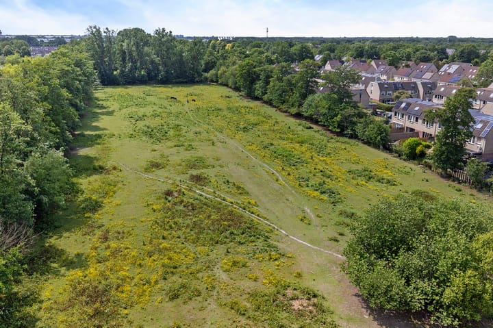 Photo 39 of De Wetterwille 165