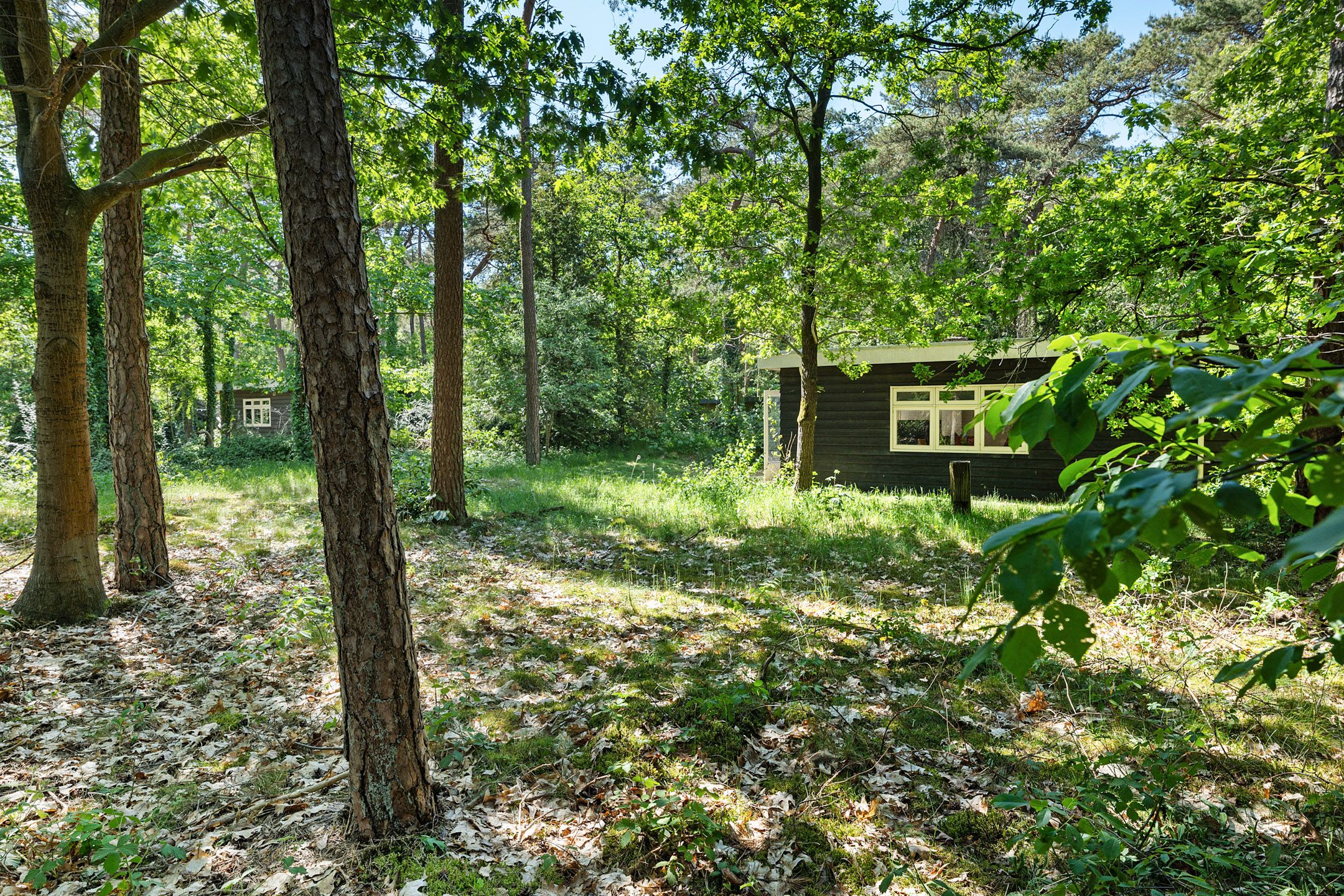 Foto 21 van Kastanjelaan 2