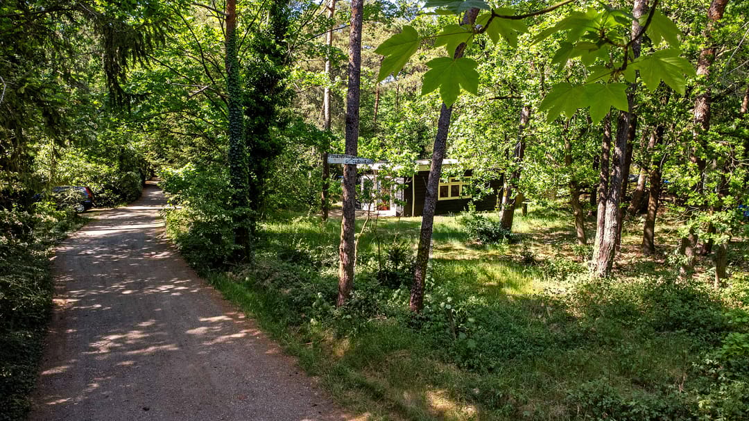 Foto 23 van Kastanjelaan 2