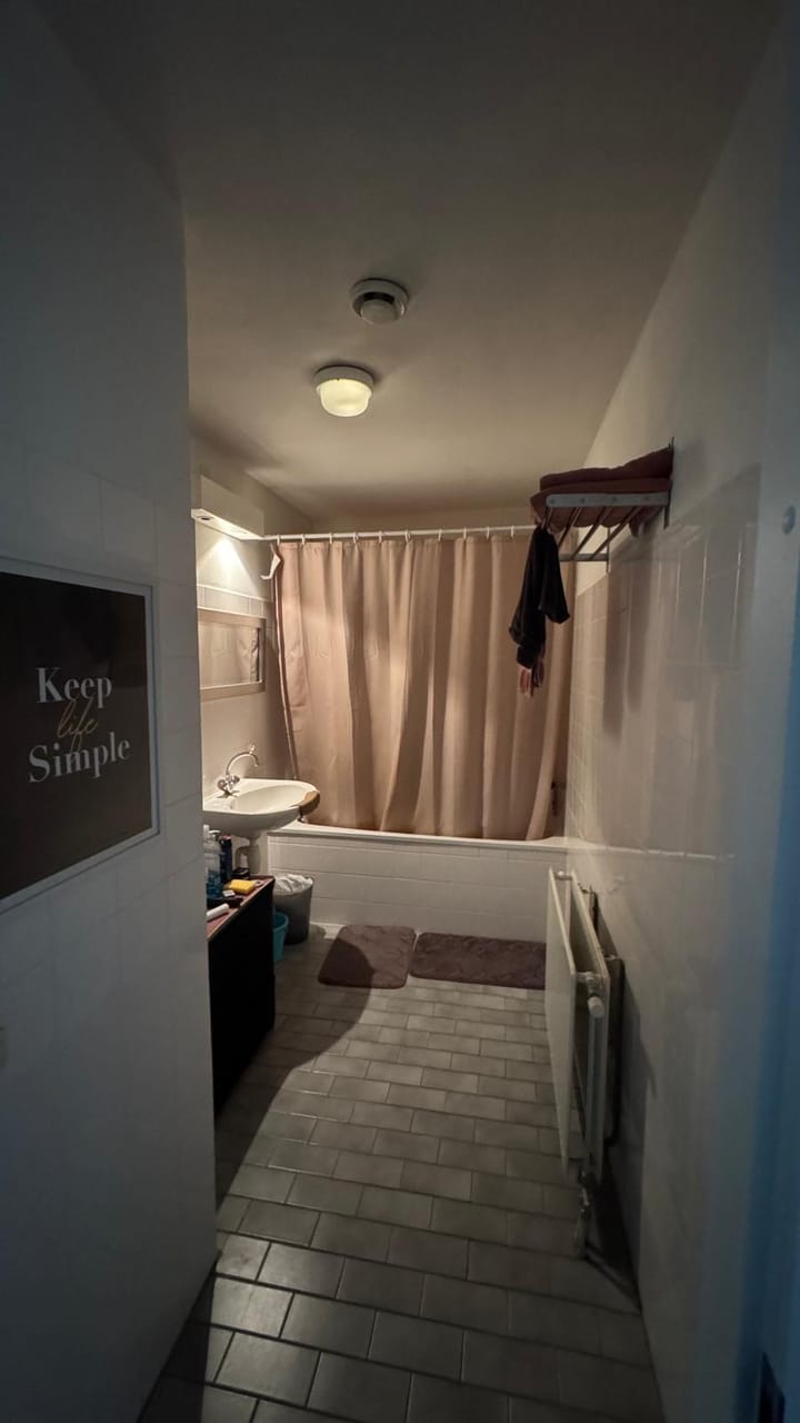 Foto 8 van Zuid Willemsvaart 516-C