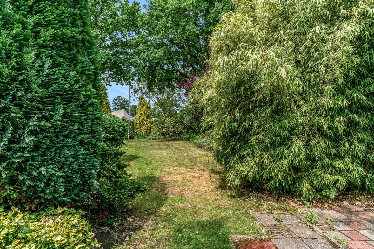 Foto 34 van Westerblokker 92-A