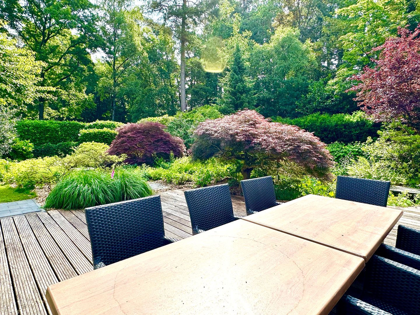 Photo 25 of Spreeuwendreef 6