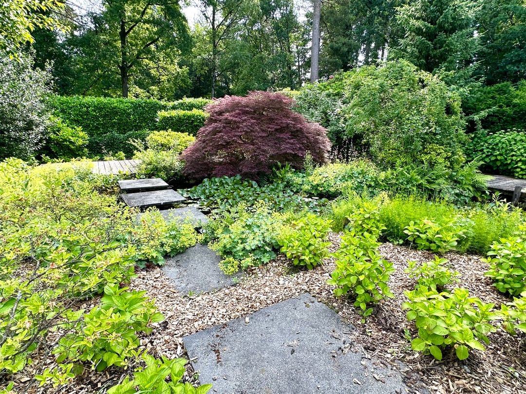 Photo 28 of Spreeuwendreef 6