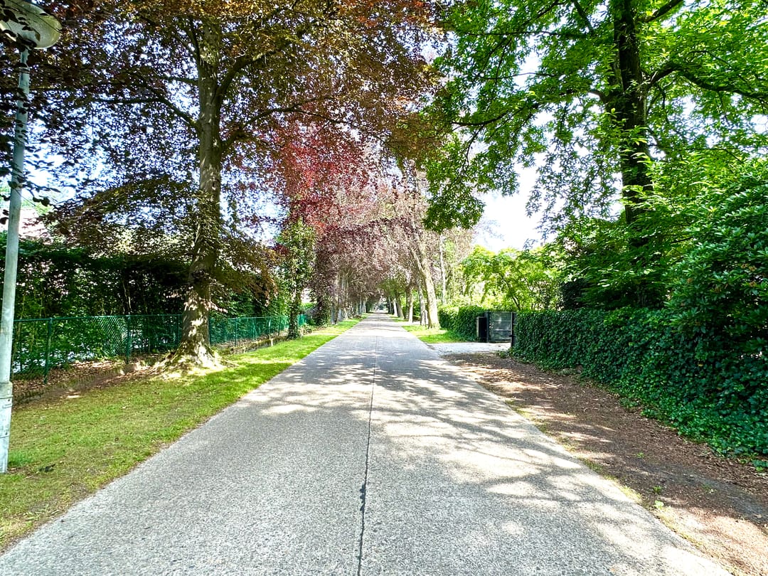 Photo 37 of Spreeuwendreef 6