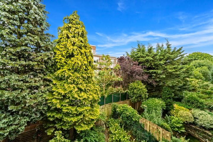 Foto 22 van Cornelis Houtmanstraat 78