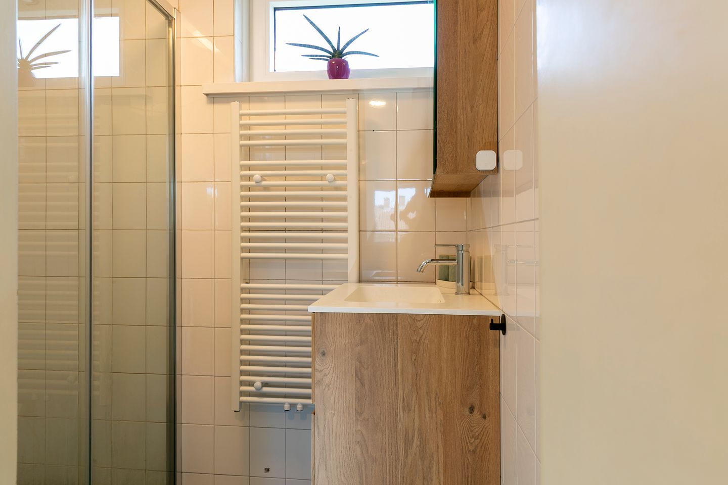 Foto 14 van Abel Tasmanstraat 4