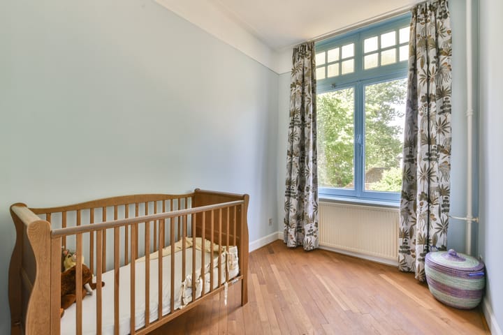 Foto 21 van Mecklenburglaan 29