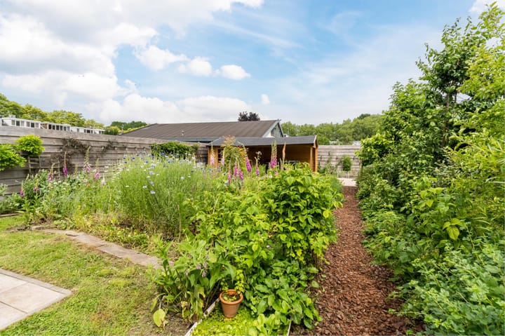 Foto 44 van Boomgaardweg 65