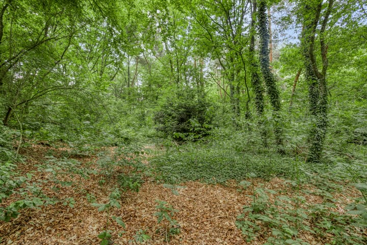 Foto 54 van Nijmeegsebaan 16