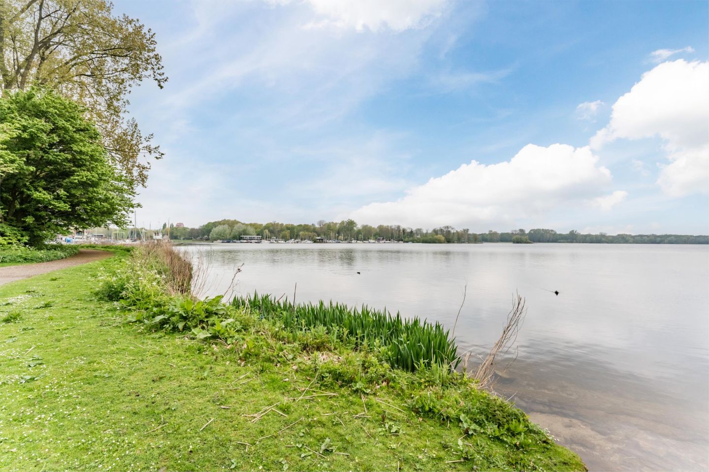 Foto 29 van Hermonlaan 38