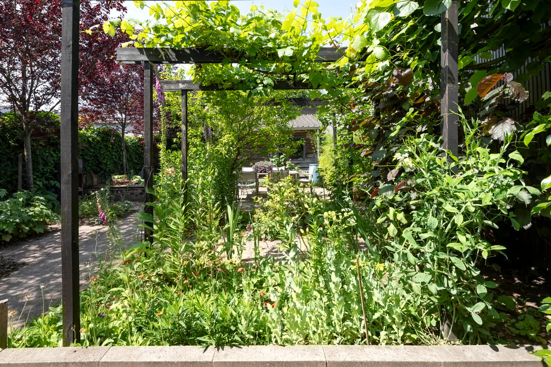 Foto 32 van Vloeiweg 80