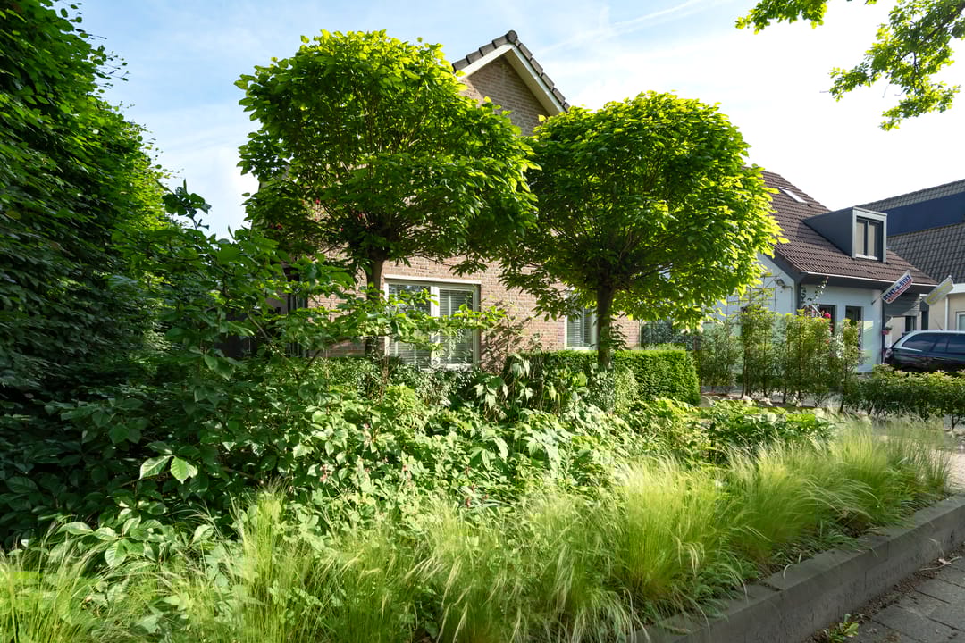 Foto 41 van Vloeiweg 80