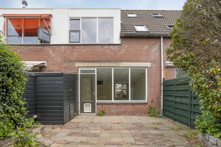 Foto 3 van Speenkruid 24