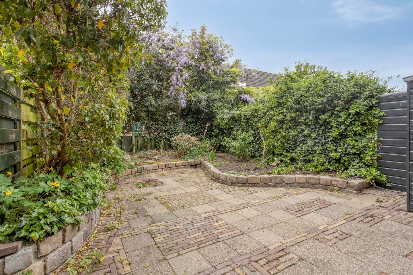 Foto 4 van Speenkruid 24