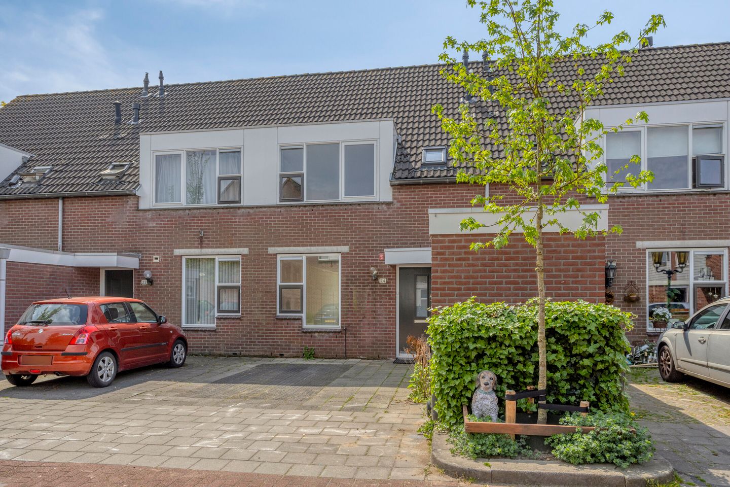 Foto 5 van Speenkruid 24